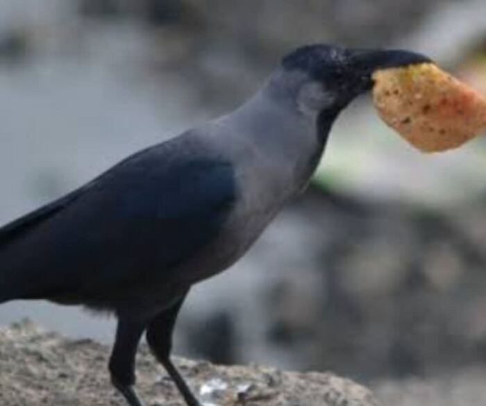 ਕੀਹਦਾ, ਕੀ, ਕੌਣ ਲੈ ਗਿਆ